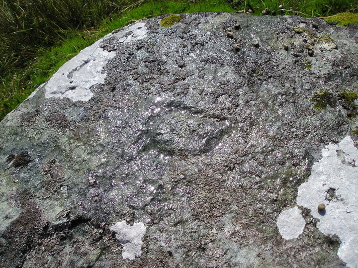 Coire Cireineach (Cup Marked Stone) by tiompan
