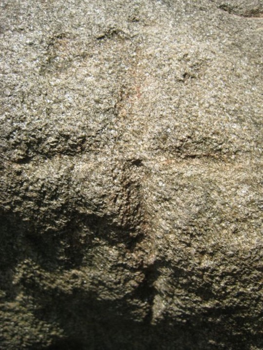 Peira Eicrita (Engraved stone) by Ligurian Tommy Leggy