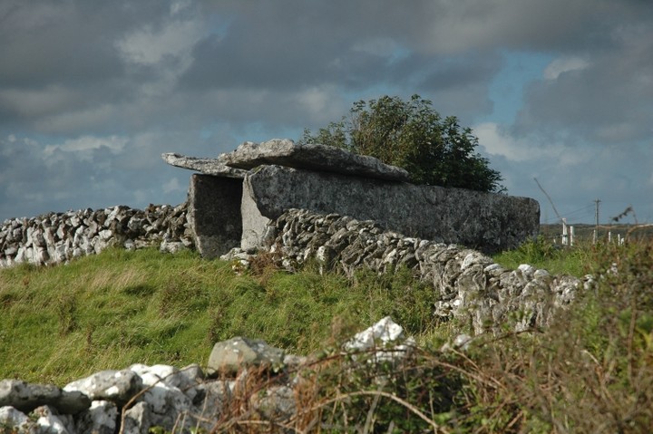 Ballyganner South (Wedge Tomb) by ryaner