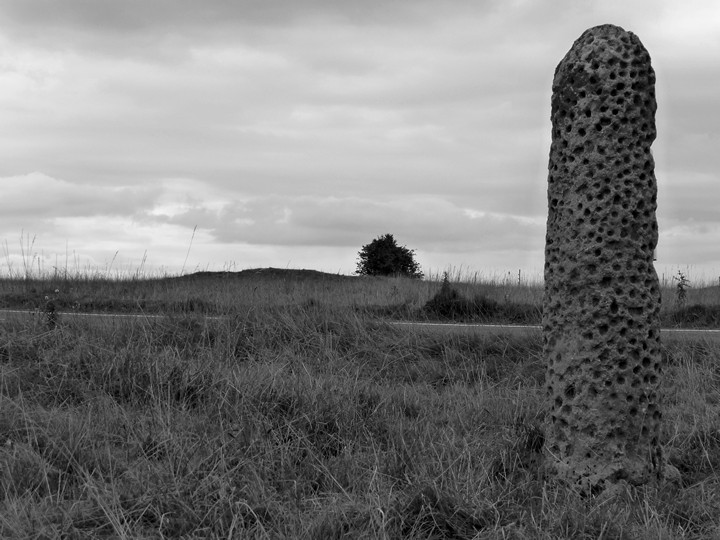 Whitfield's Tump (Long Barrow) by thesweetcheat