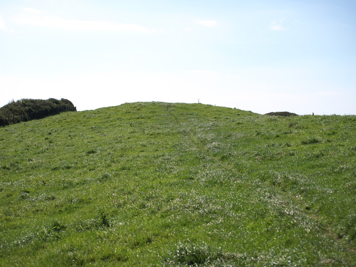 Thorncombe Beacon (Round Barrow(s)) by formicaant