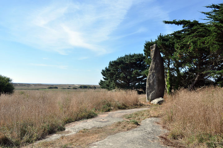 Le Reun (Standing Stone / Menhir) by Jane
