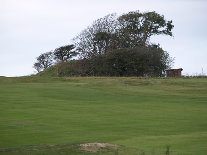 Came Down Golf Club (Barrow / Cairn Cemetery) by formicaant