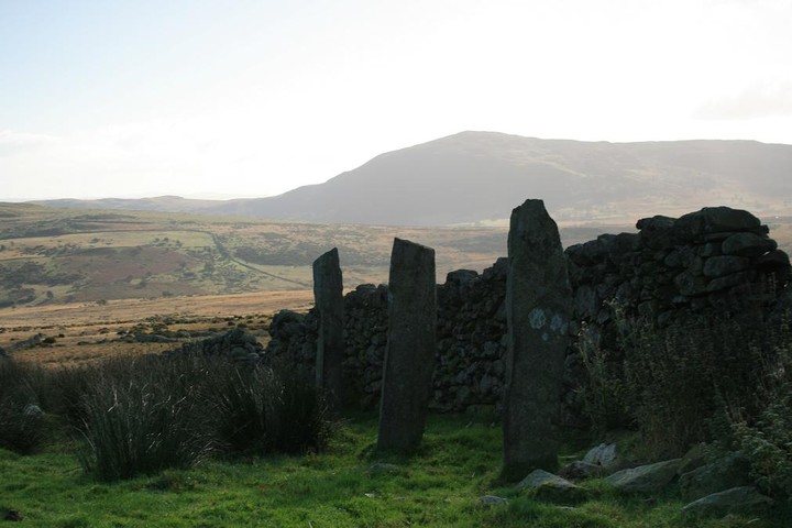 Ffrith-Y-Bont (Stone Row / Alignment) by postman