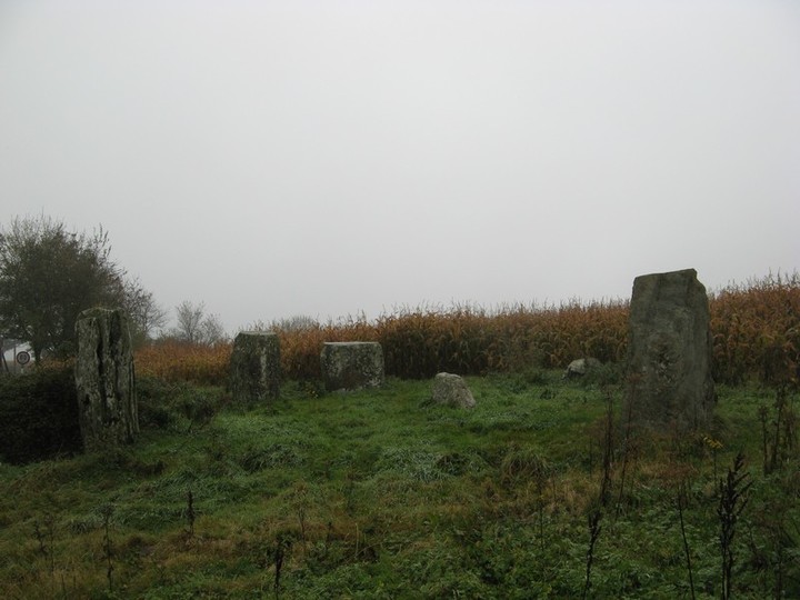 Templebryan (Stone Circle) by bawn79