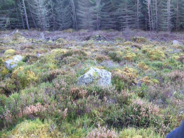 Carn na Croiche (Chambered Cairn) by strathspey