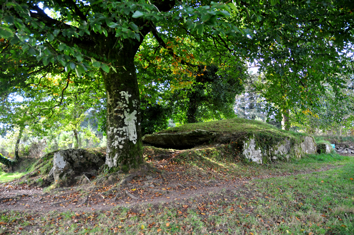 Ty Ar Boudiged (Chambered Tomb) by Moth