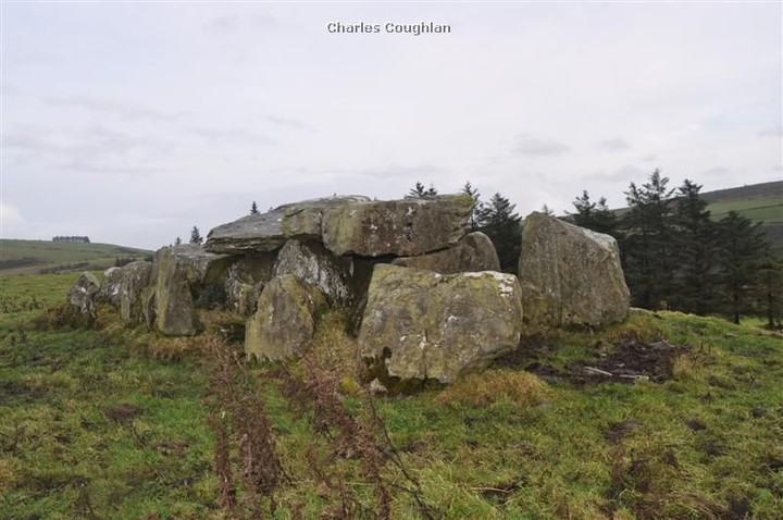 Knockcurraghbola Commons (Wedge Tomb) by bogman