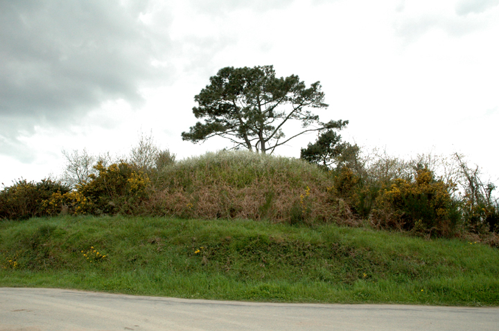Tumulus de Crucuny (Tumulus (France and Brittany)) by Moth