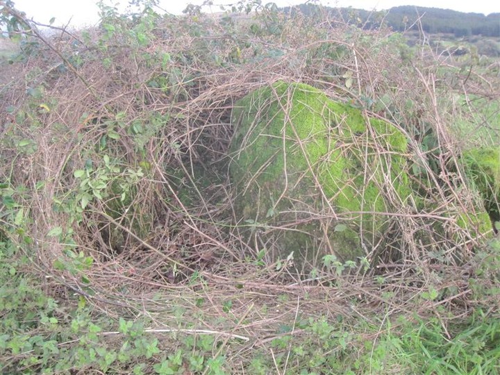 Trawlebane (Stone Circle) by bogman