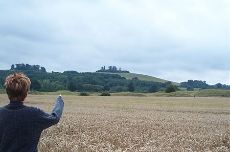 Wittenham Clumps and Castle Hill (Hillfort) by RiotGibbon