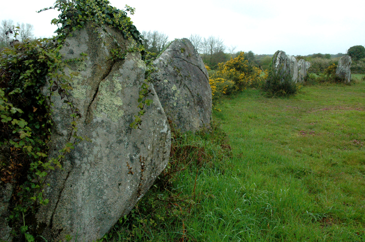 Crucuno Rectangle (Cromlech (France and Brittany)) by Moth