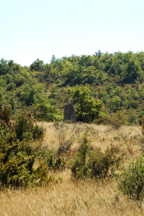Menhir de Serre de la Gleisa (Standing Stone / Menhir) by Moth