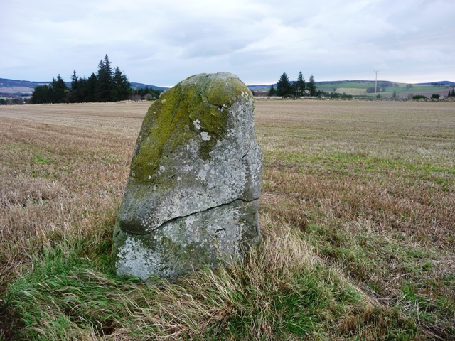 Gallow Hill (Standing Stone / Menhir) by drewbhoy