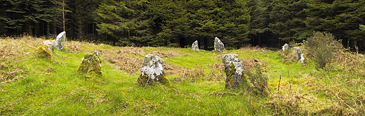 Boleycarrigeen (Stone Circle) by Holy McGrail