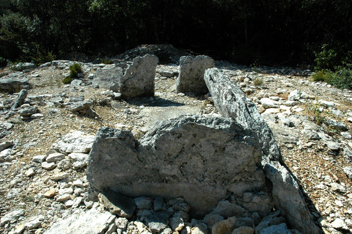 Bois des Geants - dolmen 1 (Passage Grave) by Moth