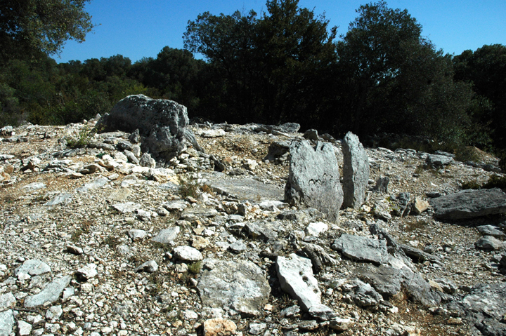 Bois des Geants - dolmen 1 (Passage Grave) by Moth