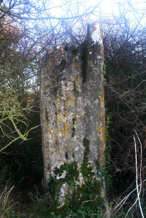The Harpstone (Standing Stone / Menhir) by Dorset Druid