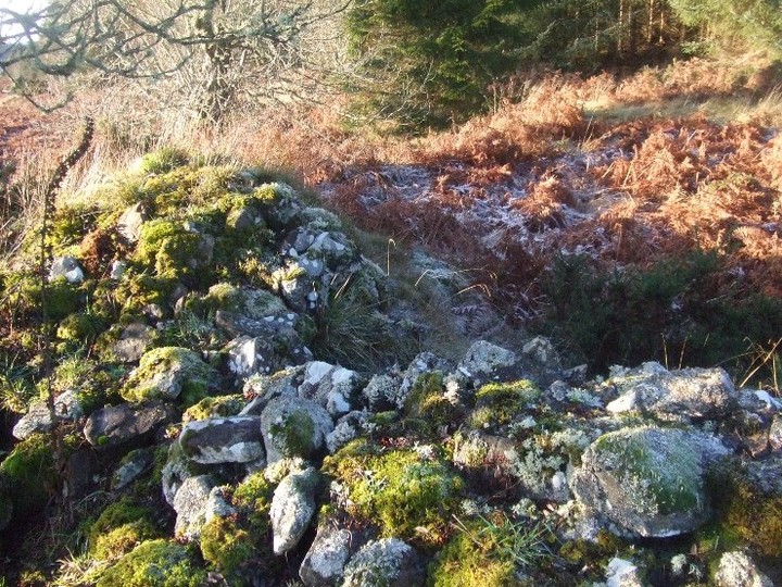 Newmore Wood Cairn (Cairn(s)) by strathspey