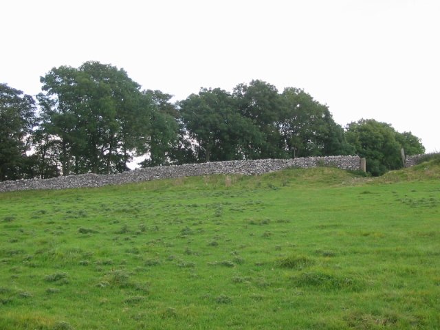 Cranes Fort (Hillfort) by stubob
