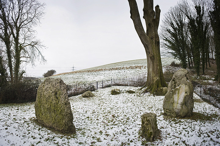 The Nine Stones of Winterbourne Abbas (Stone Circle) by A R Cane