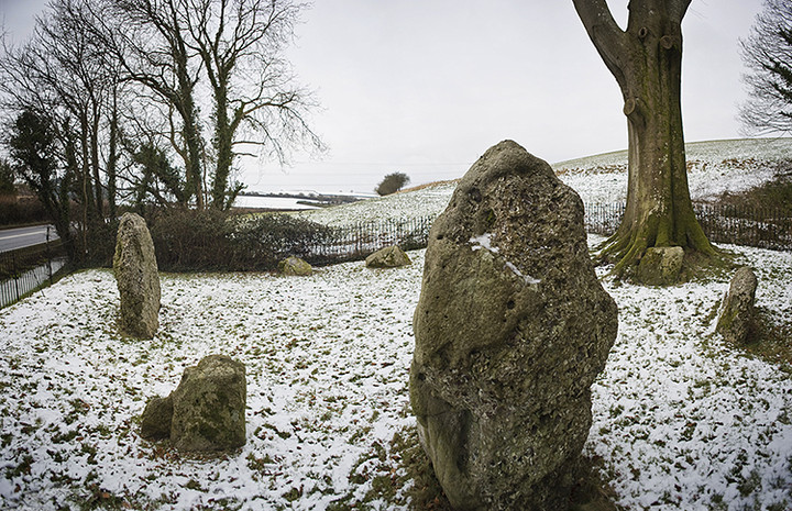 The Nine Stones of Winterbourne Abbas (Stone Circle) by A R Cane
