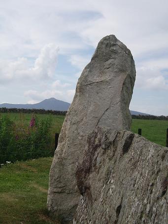 Easter Aquhorthies (Stone Circle) by Vicster