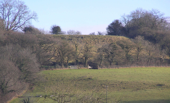 Burledge Hill (Hillfort) by 7Spring