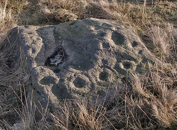Middleton Moor 448 (Cup and Ring Marks / Rock Art) by fitzcoraldo