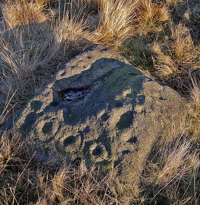 Middleton Moor 448 (Cup and Ring Marks / Rock Art) by fitzcoraldo
