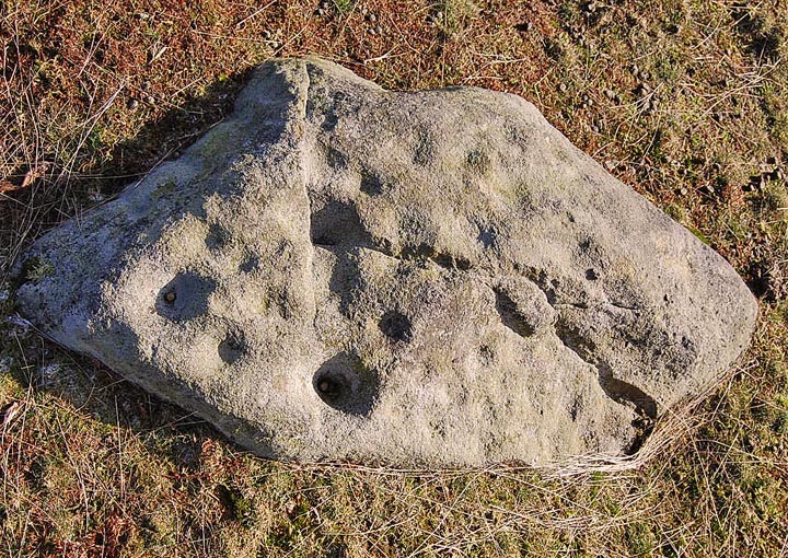 Middleton Moor 458 (Cup and Ring Marks / Rock Art) by fitzcoraldo