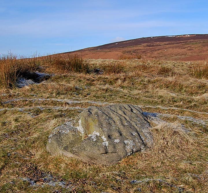 Middleton Moor 435 (Cup and Ring Marks / Rock Art) by fitzcoraldo