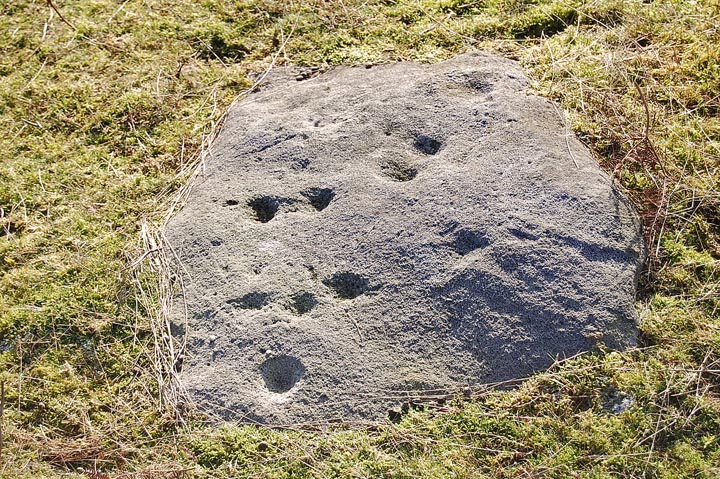 Middleton Moor (Cup and Ring Marks / Rock Art) by fitzcoraldo