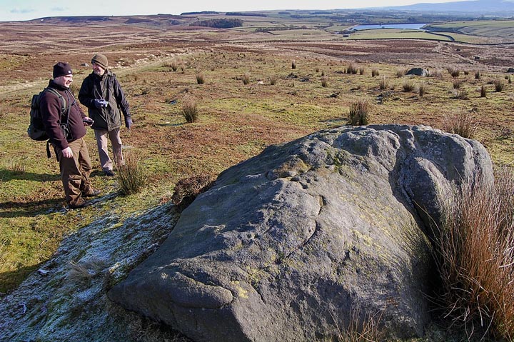 Middleton Moor 462 (Cup and Ring Marks / Rock Art) by fitzcoraldo