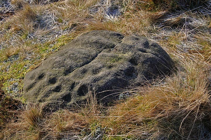 Middleton Moor 454 (Cup Marked Stone) by fitzcoraldo