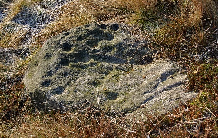 Middleton Moor 455 (Cup Marked Stone) by fitzcoraldo