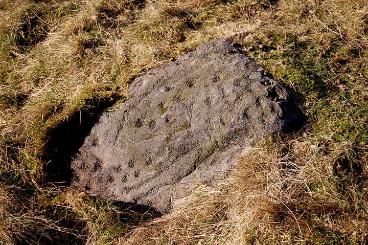 Middleton Moor 481 Latice Rock (Cup and Ring Marks / Rock Art) by fitzcoraldo
