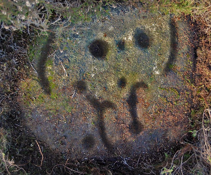 Middleton Moor 501 (Cup and Ring Marks / Rock Art) by fitzcoraldo