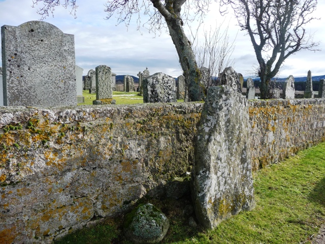 St Walloch's Stone (Standing Stone / Menhir) by drewbhoy