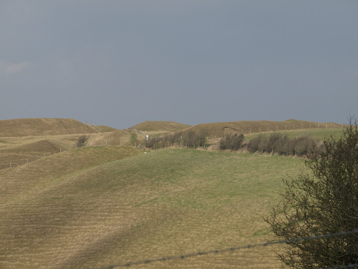 Eggardon Hill (Hillfort) by formicaant