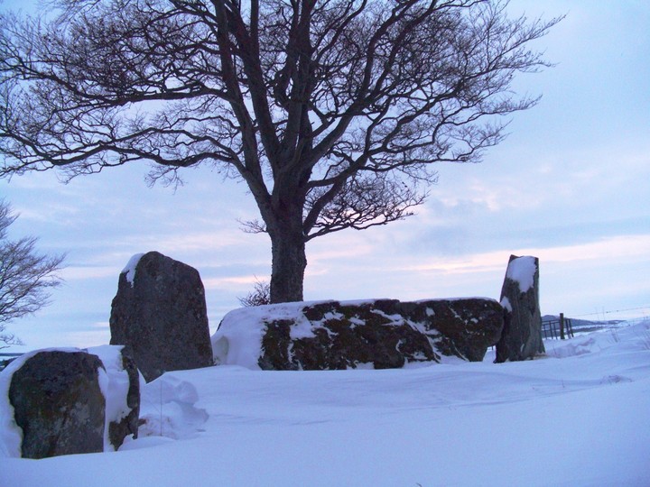 Old Keig (Stone Circle) by faerygirl