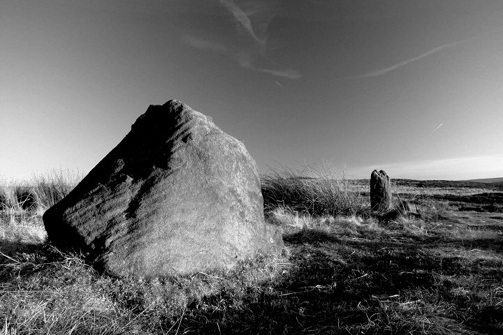 Barbrook I (Stone Circle) by Chris Collyer