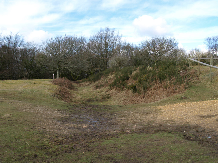 Lambert's Castle (Hillfort) by formicaant