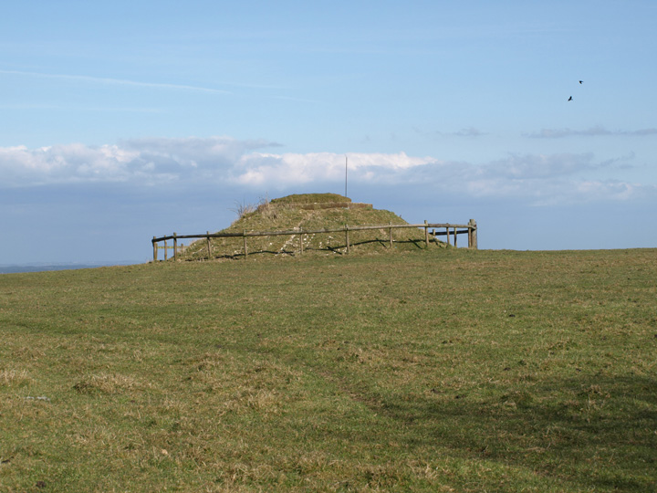 White Horse Hill (Round Barrow(s)) by formicaant