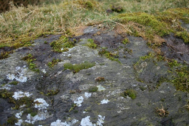 An Fuaran (Cup and Ring Marks / Rock Art) by postman