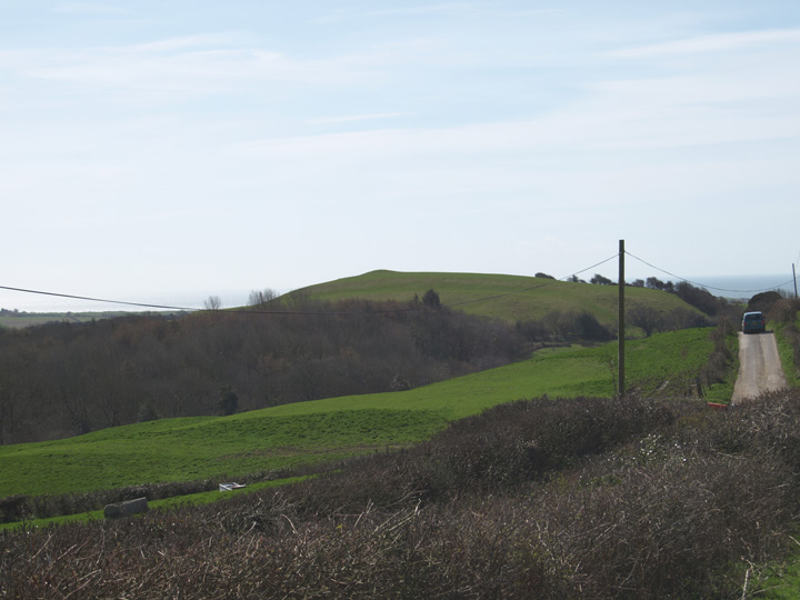 Hammiton Hill (Round Barrow(s)) by formicaant