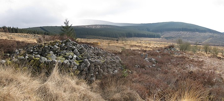 Slewcairn (Chambered Cairn) by new abbey