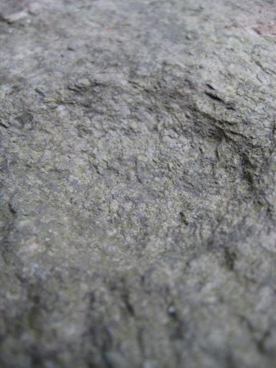 Rio Cavallera, rocks n° 4, 5, 6, 7. (Engraved stone) by Ligurian Tommy Leggy