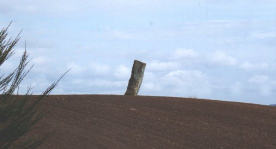 Airlie (Standing Stone / Menhir) by nickbrand