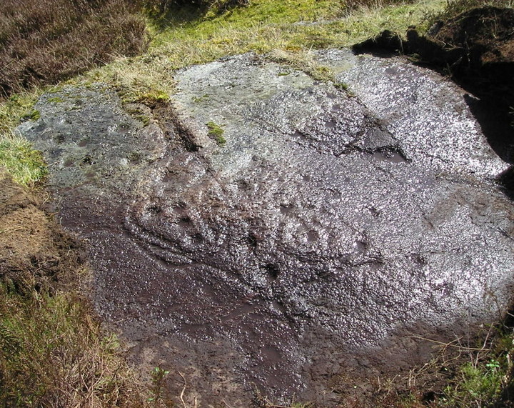Craig Hill (Cup and Ring Marks / Rock Art) by tiompan